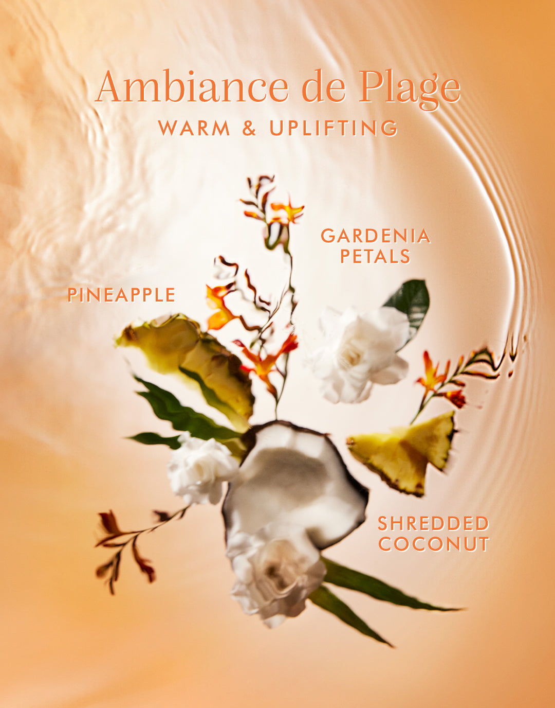 Ambiance de Plage Hair & Body Fragrance Mist - Image 3