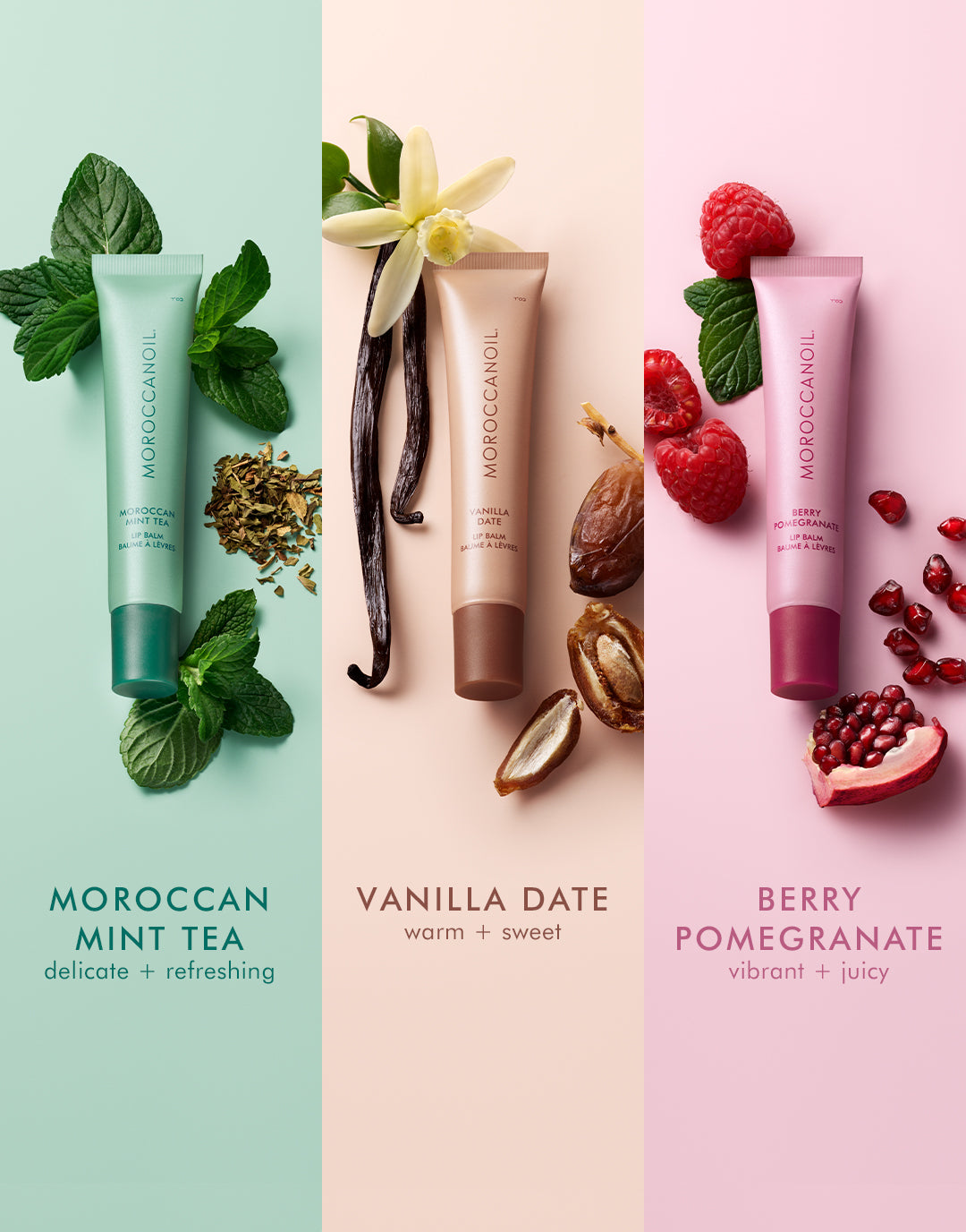 Argan Butter Lip Balm Trio Kit - Image 7