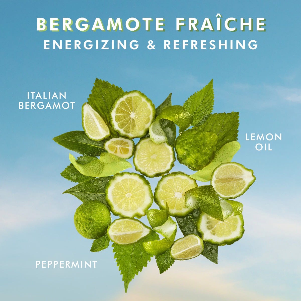 Body Lotion Bergamote Fraîche - Image 4