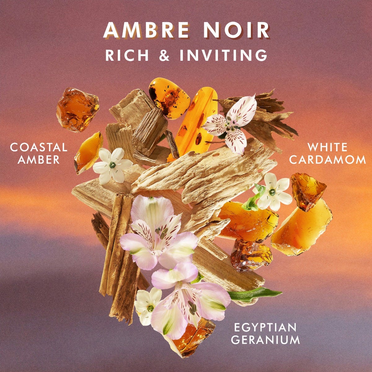 Body Lotion Ambre Noir - Image 4
